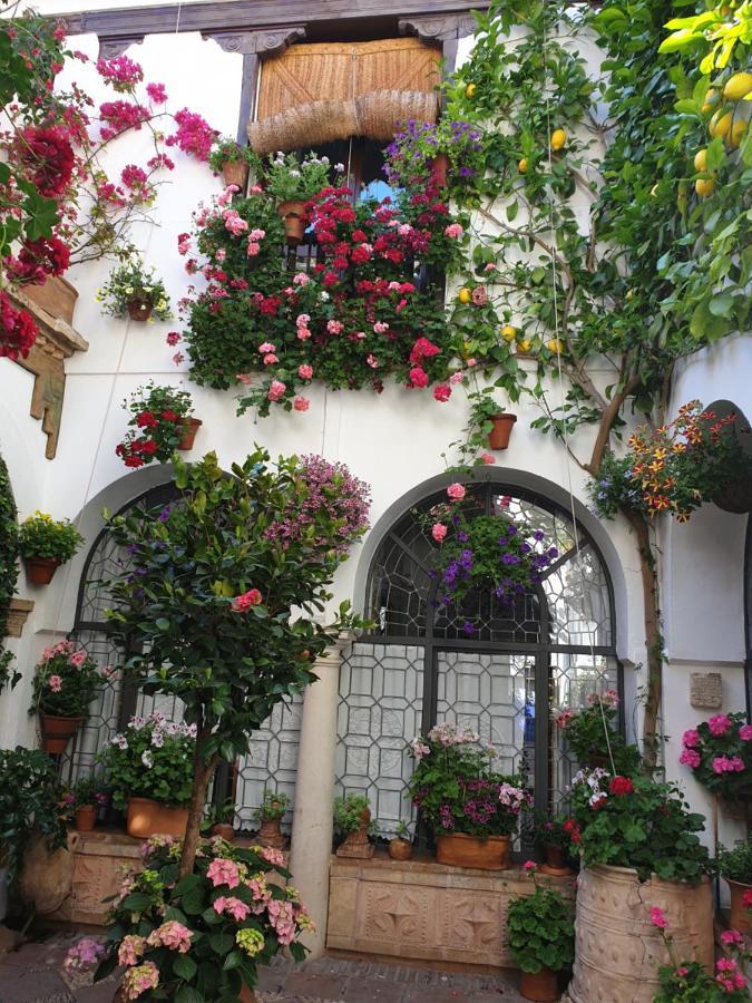 Apto. Planta Baja Y Cochera Barrio San Basilio Cordoba Luaran gambar