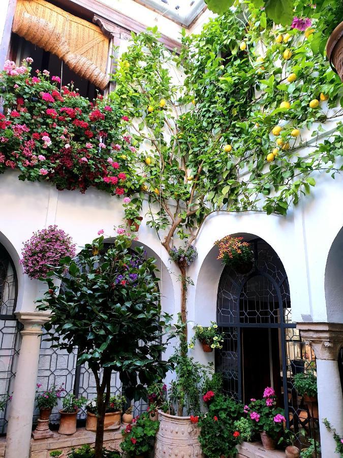 Apto. Planta Baja Y Cochera Barrio San Basilio Cordoba Luaran gambar